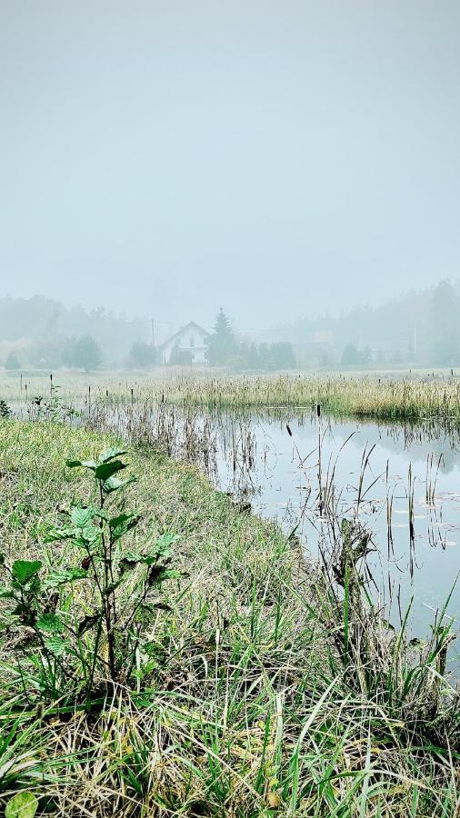 Gospodarstwo Agroturystyczne Zasadkowe Bory Rogowo  エクステリア 写真